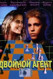 Двойной агент (1993)