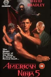 Американский ниндзя 5 (1993)