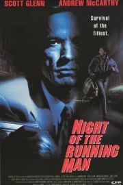 Ночной беглец (1995)