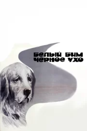 Белый Бим Черное ухо (1977)