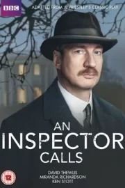 Визит инспектора (ТВ, 2015)